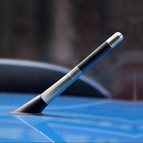 UXOXAS DearRoad Carbon Fiber Car Radio FM Antena for Ford Focus MK2 MK3 Fiesta Kuga Ecosport Auto Accessories, silver