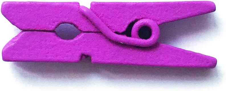 LWR CRAFTS Wooden Mini Clothespins 100 Per Pack 1" 2.5cm (Purple)