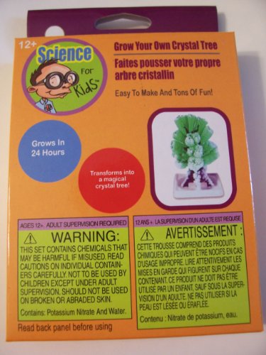 Science for Kids Thinking Cap Activities ~ Grow Your Own Crystal Tree (Ages 12+)