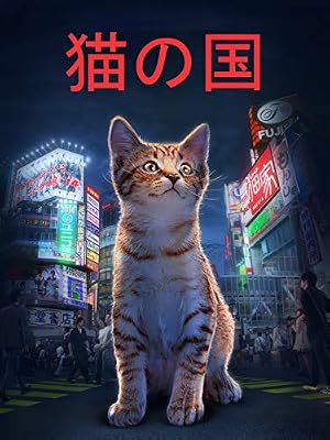 飼い主「ネコが切れ痔になるu2026」→獣医「ワセリンをおしりに塗って