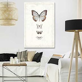 Canvas Wall Art - Hand Drawn Brown Butterfly Collection Series 1 Artwork - Giclee Print Gallery Wrap Modern Home Art Ready to Hang - 12x18 inches