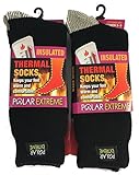Polar Extreme Women's Insulated Thermal Socks Pack of 2