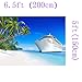 DZJYQ 6.5x5ft(2x1.5m) Ocean Sea Beach Coconut Tree Cruise Ship Yacht Holiday Wedding Birthday Party Portrait Studio Backdrop Photography Background 12