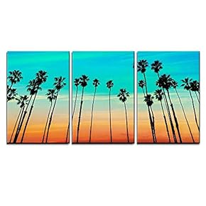 California Sunset Palm Tree Rows in Santa Barbara...