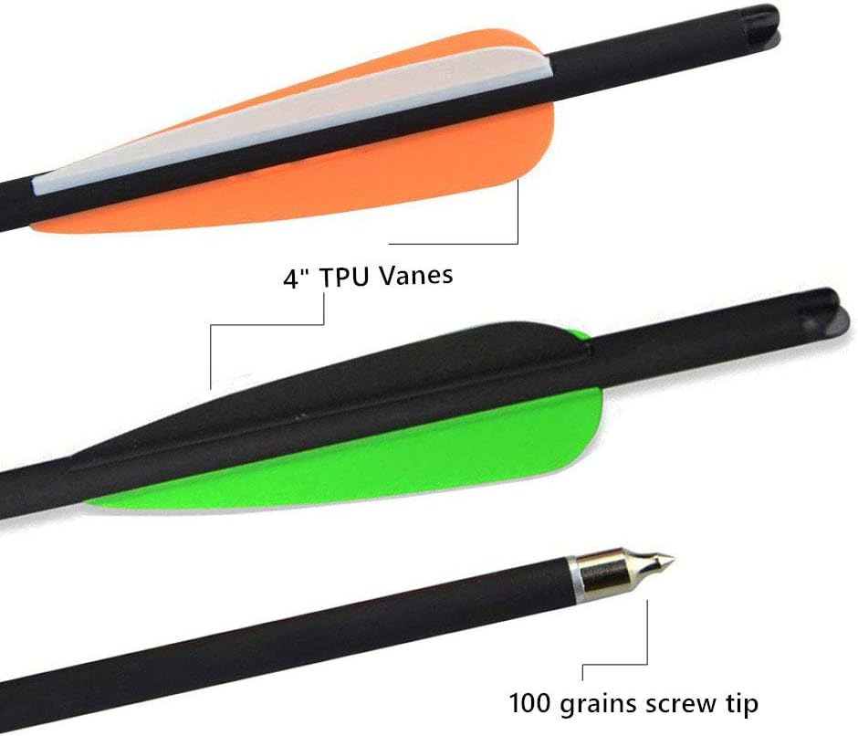 SHARROW 6/12P Tir à L'arc Chasse Pointes De Flèche Lame à Tête Large