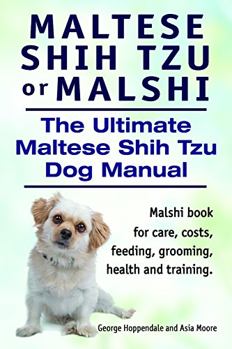Maltese Shih Tzu Or Malshi Maltese Shih Tzu Book For Care Costs