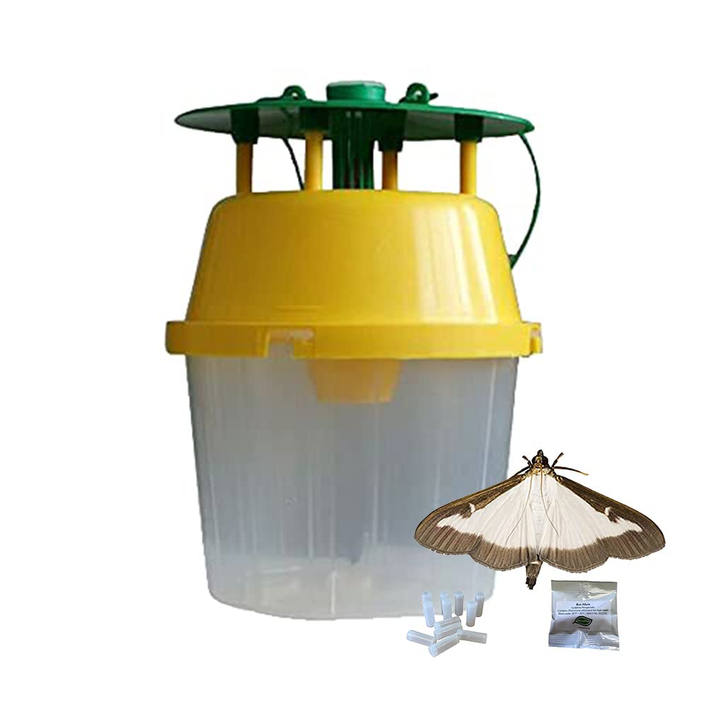Box Tree Moth Bucket Trap