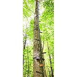 Guide Gear 20' Climbing Sticks