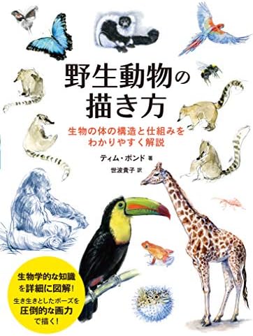 野生動物の描き方 生物の体の構造と仕組みをわかりやすく解説 Amazon Com Books