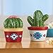 Cactus Southwest Kitchen Decorations Salt and Pepper Shaker Set