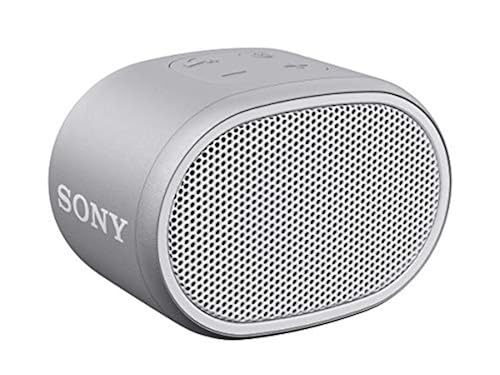 Sony SRS-XB01 Compact Portable Bluetooth Speaker: Loud Portable 