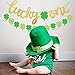 Yaaaaasss! St Patrick's Day Lucky One Banner with Lucky Four Leaf Clover Shamrock Garland for First Birthday Party Supplies Glitter Green Baby Shower Decorations