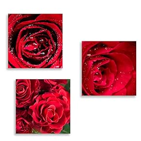 3 Panel Canvas Wall Art Romantic Rose Pictures Home Wall Decorations for Bedroom Living Room Paintings Canvas Prints Framed - 12"x12"x3 Panels