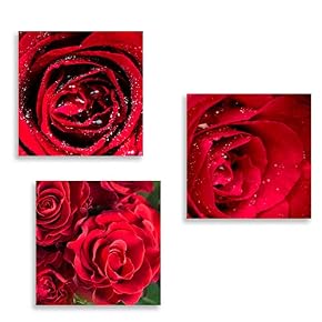 3 Panel Romantic Rose Pictures Home Wall for...