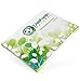 LiveFresh Natural Oil Blotting Paper, Large 100 Pack