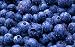 TFA Flavor Concentrates - 30ml - Blueberry Flavor (Extra)