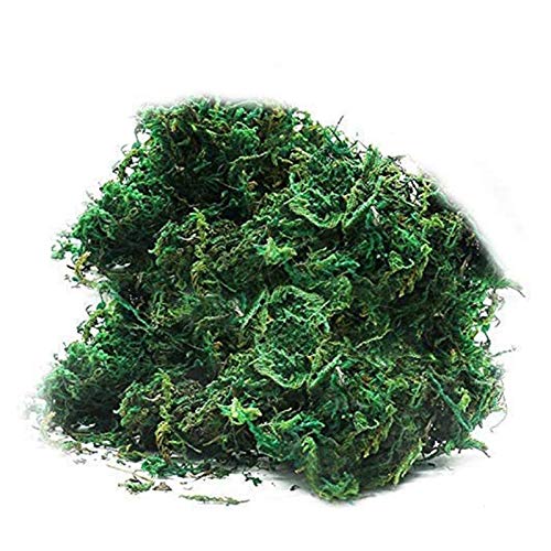 Timoo Fake Moss for Potted Plants Forest Preserved Moss Bulk Artificial