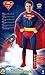 Rubie's Costume Co Adult Deluxe Muscle Chest Superman Costume, As Shown, Small
