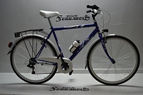 Cicli Ferrareis BICI DA UOMO 28 BICICLETTA CITY-BIKE PASSEGGIO 6V BICI BLU E BIANCO GRIGIO