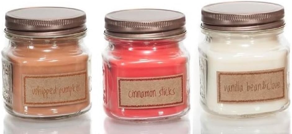 Eco Candle "HOLIDAY DELIGHTS" 3 Pack of Scented Soy Candles in 8oz Recycled Glass Mason Jars- Includes 3 Candles, one of each; Vanilla Bean & Clove, Whipped Pumpkin & Spiced Cranberry. 100% USA Made