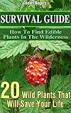 Survival Guide: How To Find Edible Plants In The Wilderness: 20 Wild Plants That Will Save Your Life!: (how to survive natural disaster, how to survive ... forest) ((survival guide, survival pantry))