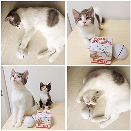 magic rolling ball for cats