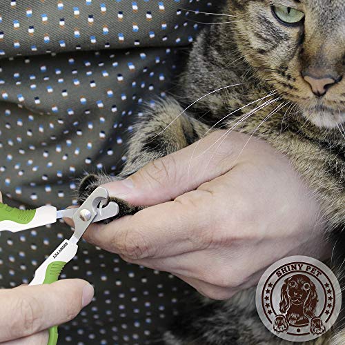 5 Pet+Nail+Clippers+Small+Animals