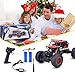 RC Car, NQD 1:16 Dual Motors Remote Control Truck, 2.4Ghz 4WD Off Road Remote Control Car with Two Rechargeable Batteries, Buggy Hobby Toy for Kids & Adults