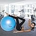 Pro Fitness 65cm Exercise Ball By KindTribal Elements: Anti-Burst/Slip Balance Gym Body Ball-For Yoga, Pilates, With Foot Pump-Flexible Therapeutic, Birthing-Use At Home-As Office Chair (Blue)