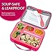 East World Bento Box Meal Prep and Food Storage Containers - Leak Proof Bento Boxes for Adults and Kids - With Lunch Bag, Cold Pack AND Cutlery! BPA Free Portion Control Container, Adult Lunch Box
