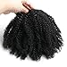 Ms Fenda Hair Raw Remy Virgin Peruvian Human Hair Natural Color Afro Kinky Curly Hair Piece Clip-in Top Closure Ponytail (12inch, Natural Black)