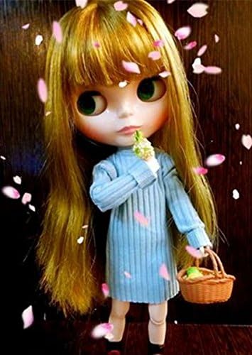 blythe doll amazon
