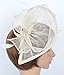 Womens Formal Party Fascinator Hat with Headband for Cocktail Ivory