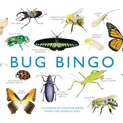 Bug Bingo Bug Bingo