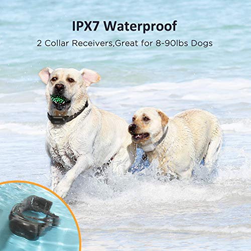 PATPET Dog Training Collar with Remote, Rechargeable IPX7 Waterproof 2 Packs Dog Shock Collar for 8 to 110 lbs Medium… - Image 5