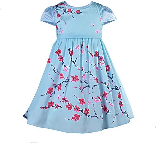 SAOMAIChildren's Princess Dress Little Girls One-piece Dress Kids Fluffy Party Birthday Costume Suit Fancy Dress (4T, Short Sleeve)