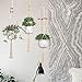 Elf House Macrame Plant Hangers Holder Outdoor - Large Indoor Wall Hanging Planter Hanger with Hooks Flower Pot Holder Decoration, Boho Home Decor Gift Box 4-in-1