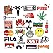 100PCS Popular Logo Brand Stickers Water Bottle Sticker Laptop Computer Bedroom Wardrobe Car Skateboard Motorcycle Bicycle Mobile Phone Luggage Guitar DIY Decal (Popular Logo 100)