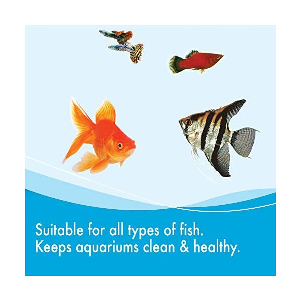 AQUARIAN Weekly Cleaner Water Conditioner, 118 ml (Pack of 1)