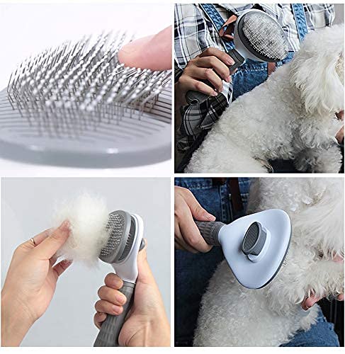 DASHH Glove + Brush for Dogs and Cats, Comb and Self-Cleaning Grooming for Pets, Removing Excess and Dead Animal Hair