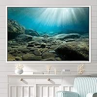 Framed Canvas Wall Art Seabed Colorful Fish Group Marine Life Multicolor Nautical Photography Realism Ultra - 16x24 inches