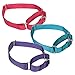 Guardian Gear Nylon Martingale Dog Collar, Fits Necks 10