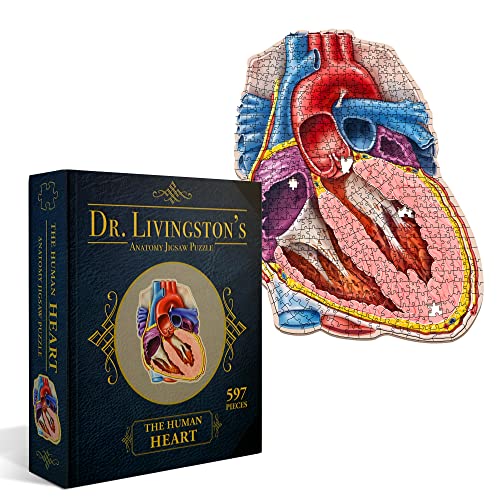 Dr. Livingston's Human Heart Anatomy Puzzle A Medically Accurate Jigsaw Puzzle of the Heart