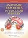 Anatomic Exposures in Vascular Surgery