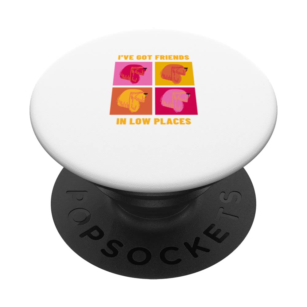 I've got friends in low places Funny Dog Pet Owner Retro PopSockets Swappable PopGrip