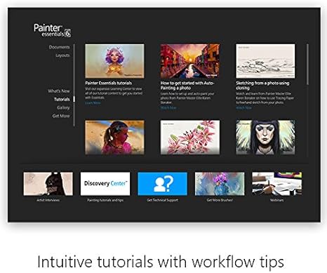 Corel Ca Painter Essentials 6 Digital Art Suite Amazon Ca Software