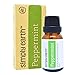 Simply Earth Peppermint Essential Oil 15 ml, 100% Pure Therapeutic Grade