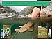 KeriCure Natural Seal On-The-Go Invisible Bandage, 0.33 Ounce
