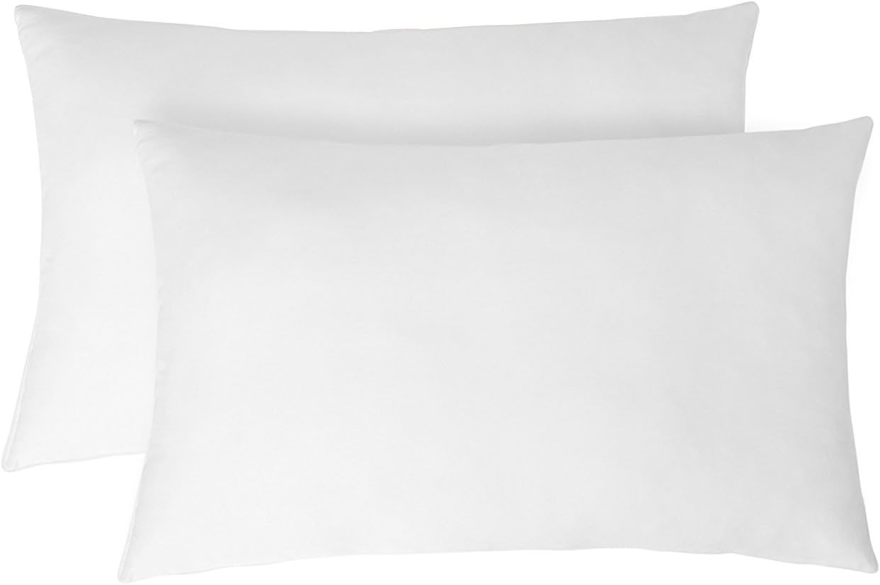 GoHome 2 Piece Polyester Pillows - 17" x 27", White