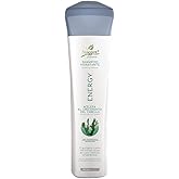 Naissant Energy Treatment Shampoo | Hair Growth Accelerator, Strengthener for Color Treated & Natural Hair | Enriched with Marine Glycogen & Natural Extracts to Prevent Hair Loss (10.1 Fl Oz)